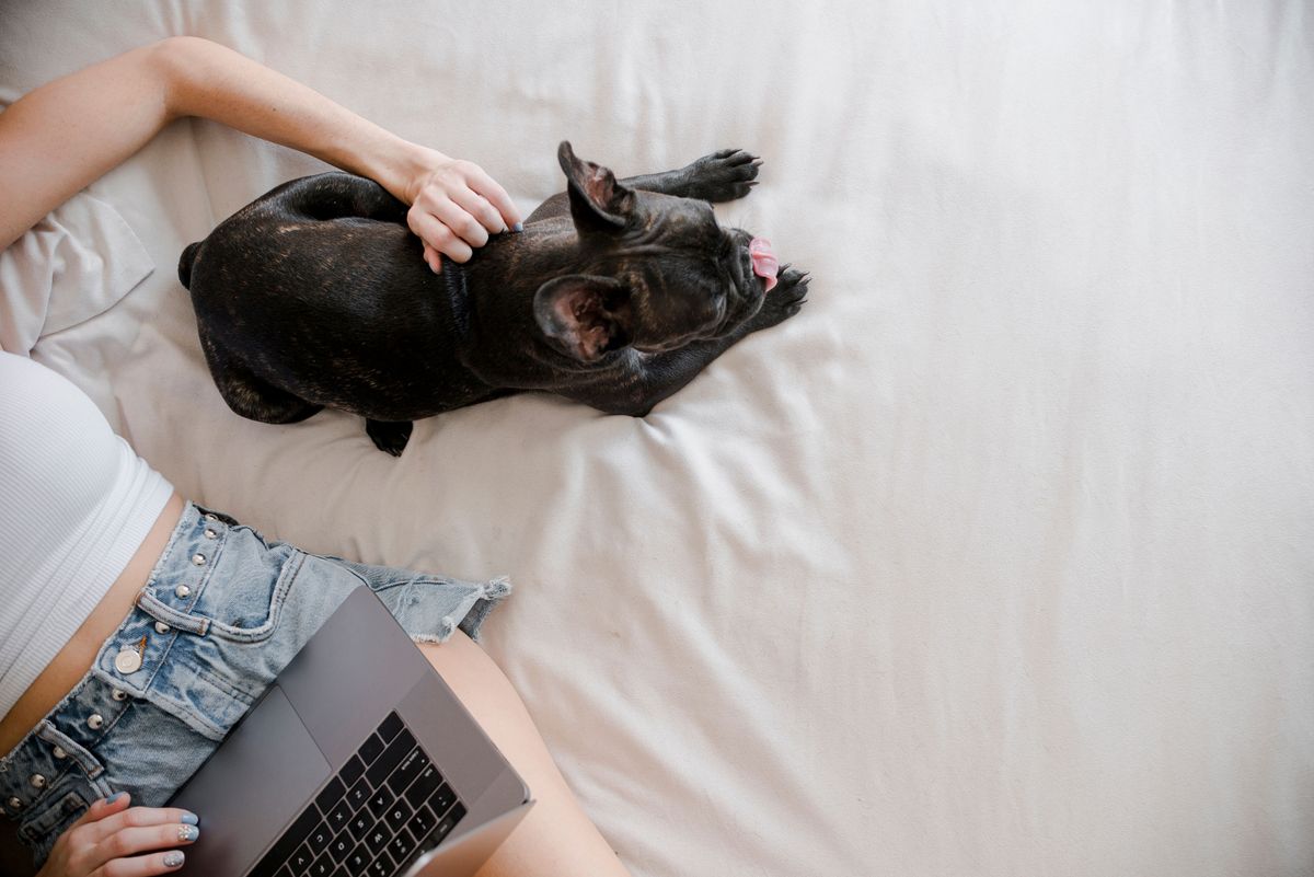 top-view-girl-chilling-with-her-doggie.jpg