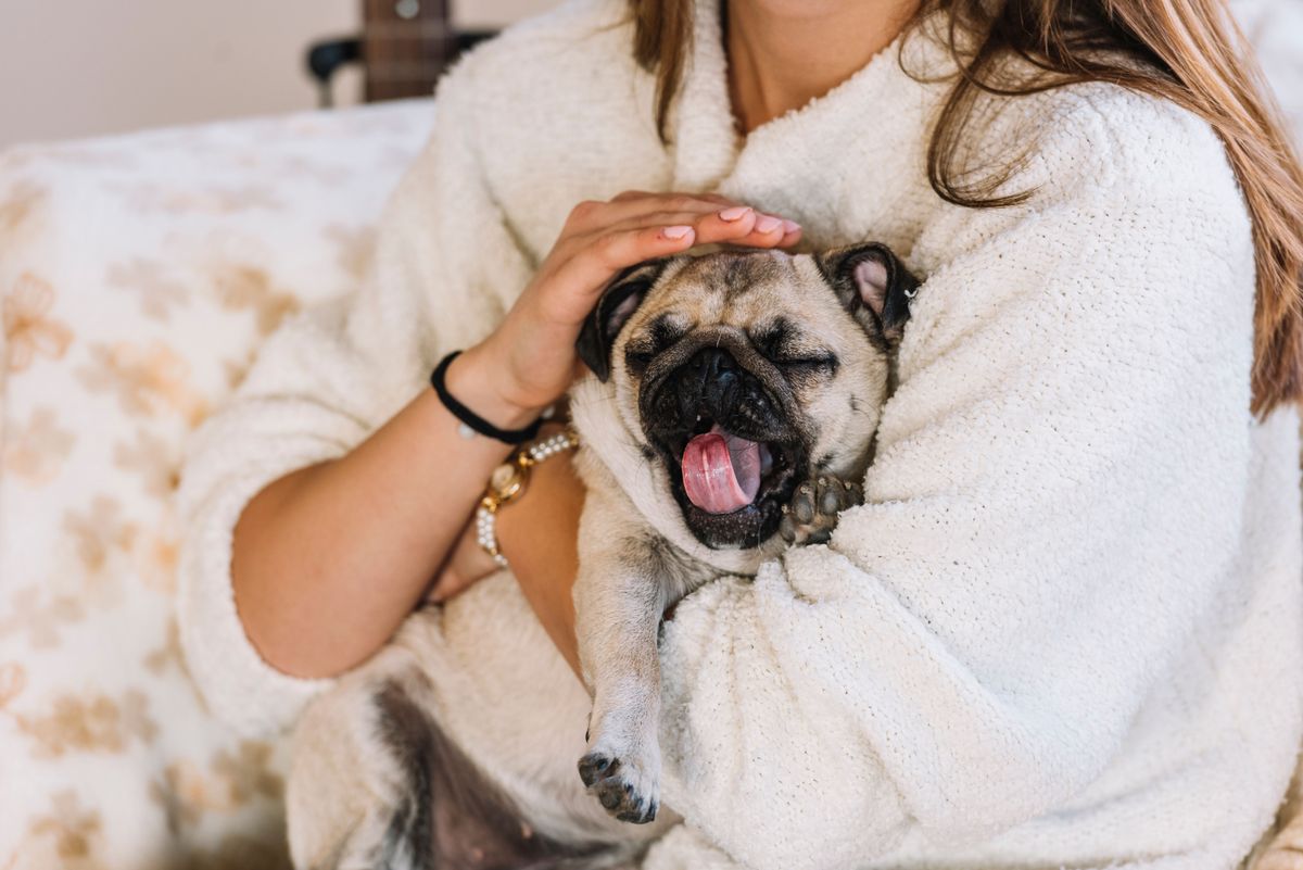 woman-holding-funny-little-dog.jpg